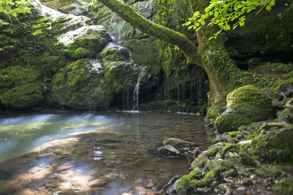 riviere-montagne-foret-nature-ardeche